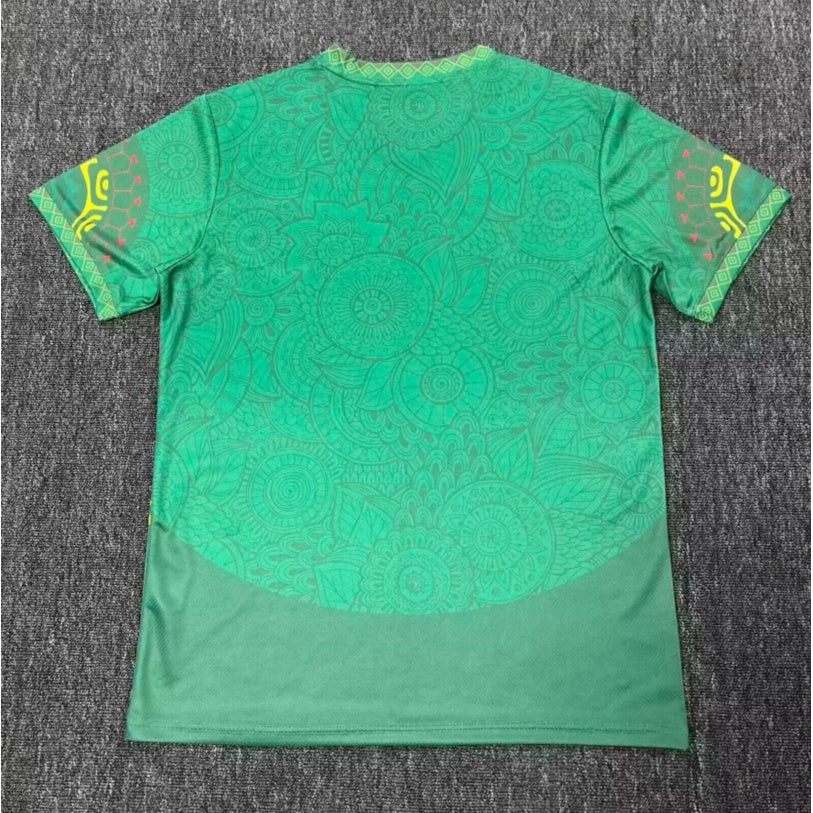 25/26 Maillot Mali Spécial  green
