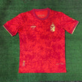 Maillot 24/25 Espagne Spécial
