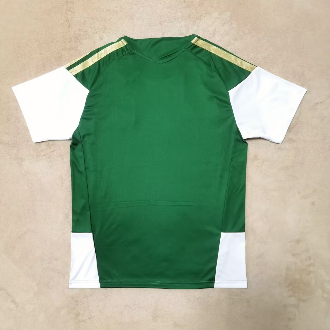 Maillot 25/26  Italie Spécial green